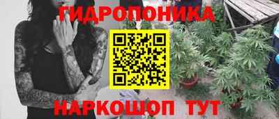 a pvp Кимры