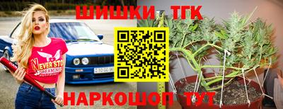 гидропоника Кингисепп