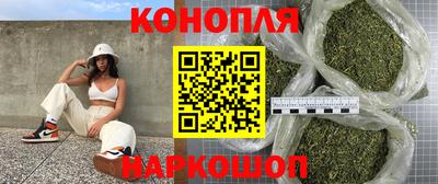 гидропоника Кингисепп