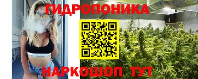 гидропоника Кингисепп