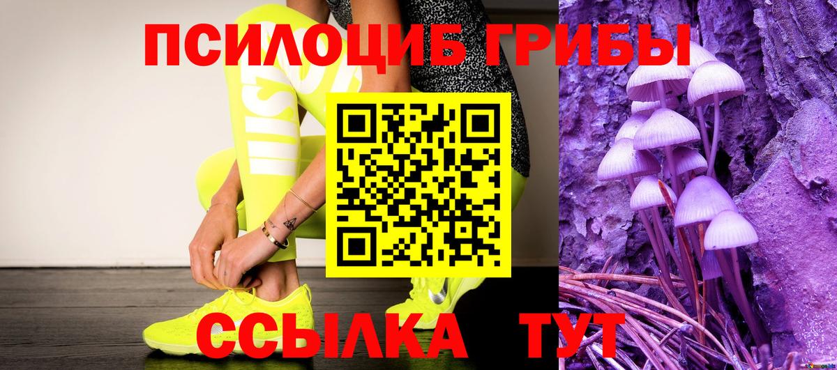 Галлюциногенные грибы Cubensis Корсаков