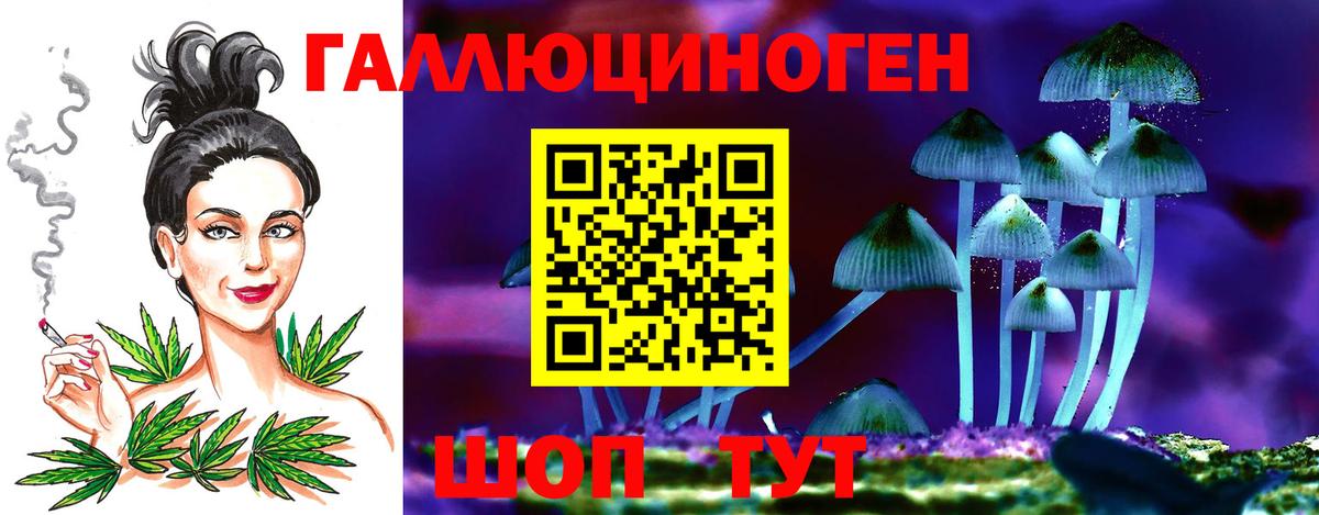 Галлюциногенные грибы Psilocybine cubensis  Вход с VPN  Псилоцибиновые грибы GOLDEN TEACHER  Корсаков 