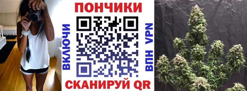 mega ссылка  сколько стоит  Корсаков  Бошки Шишки гибрид 